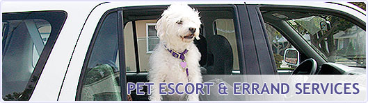 Pet escort and errand services at Happy Pets